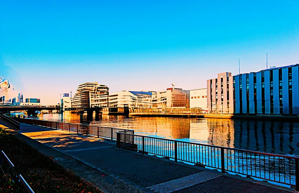 toyosu